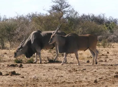 Photo: Matthew Walters