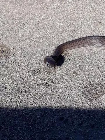 Photo: Mariette Tinkie Smit